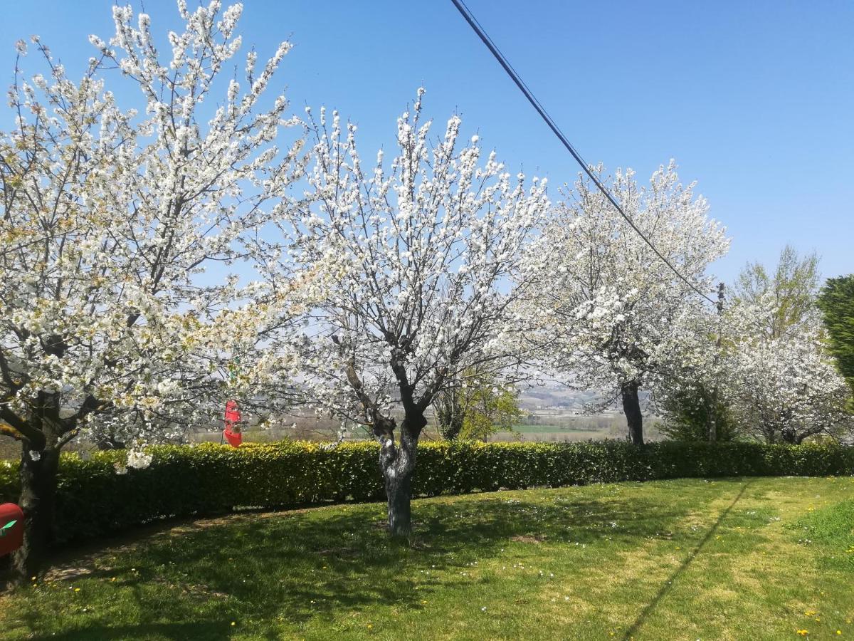 Locazione Turistica Cascina Pela Apartment Castagnole delle Lanze Bagian luar foto